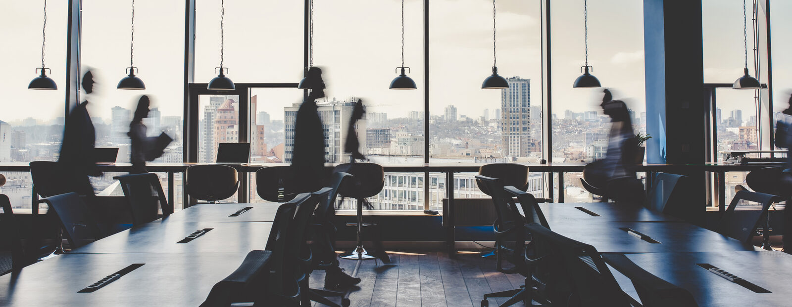 MetaMorph office